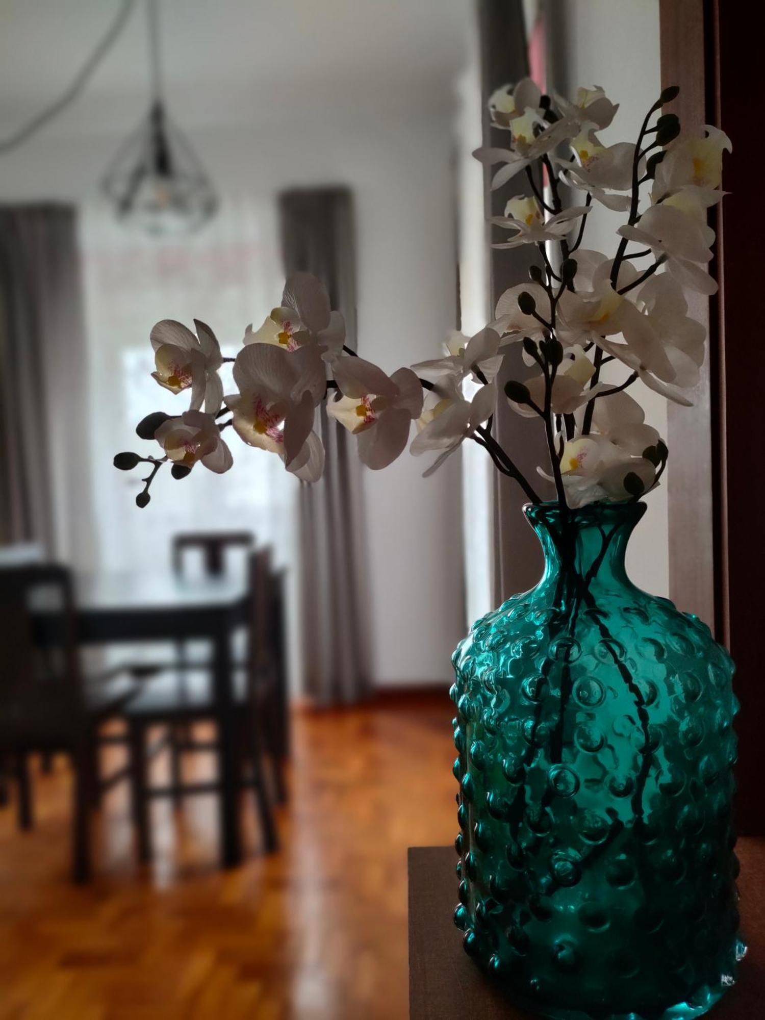 Apartamento Boavista 加亚新城 外观 照片